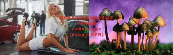 2c-b Горно-Алтайск
