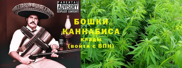 2c-b Горно-Алтайск