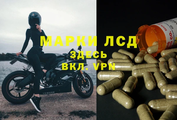 трава Горняк