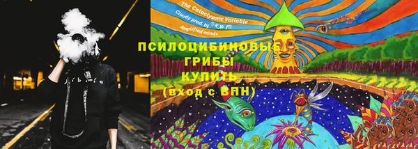 СК Гусев