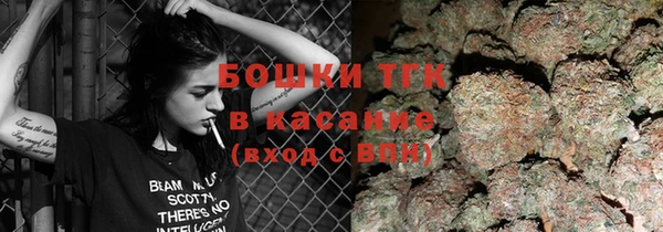 2c-b Горно-Алтайск