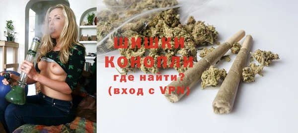 мяу мяу мука Гусь-Хрустальный